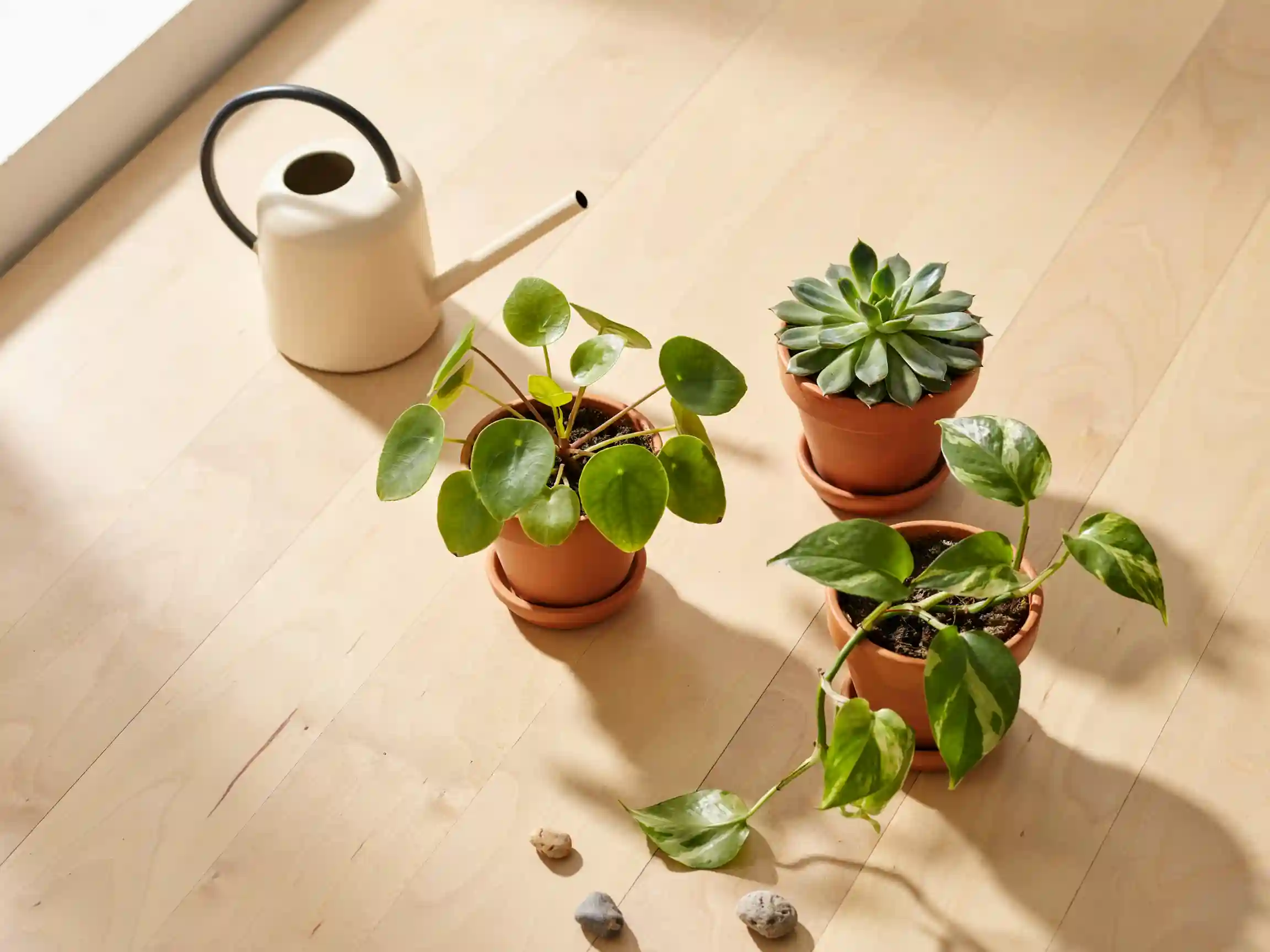 indoor house plants aesthetic living room, trailing pothos shelf aesthetic, styled plant shelfie with terracotta pots