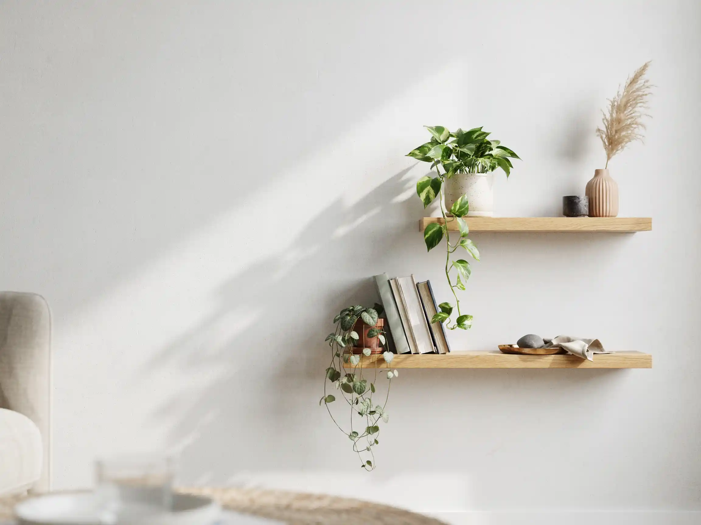 indoor house plants aesthetic living room, trailing pothos shelf aesthetic, styled plant shelfie with terracotta pots